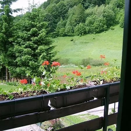 Penzion Raukar Crni Lug